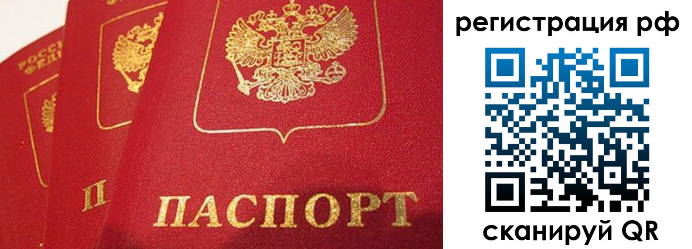 прописка поиск в Купино
